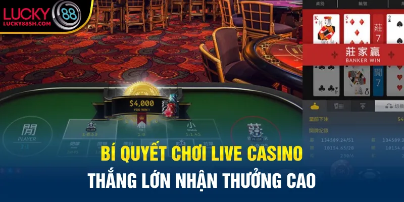 Bí quyết chơi Live Casino thắng lớn nhận thưởng cao