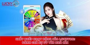 giấy phép hoạt động