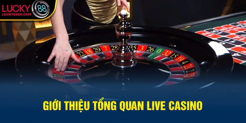 Giới thiệu tổng quan Live Casino