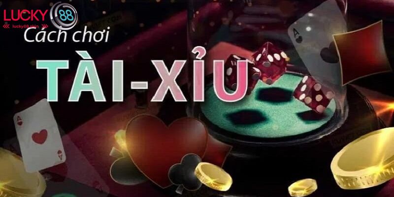 Luật chơi tài xỉu chính xác cho người mới