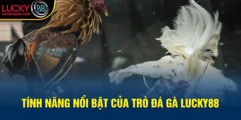 Tính năng nổi bật của trò đá gà Lucky88